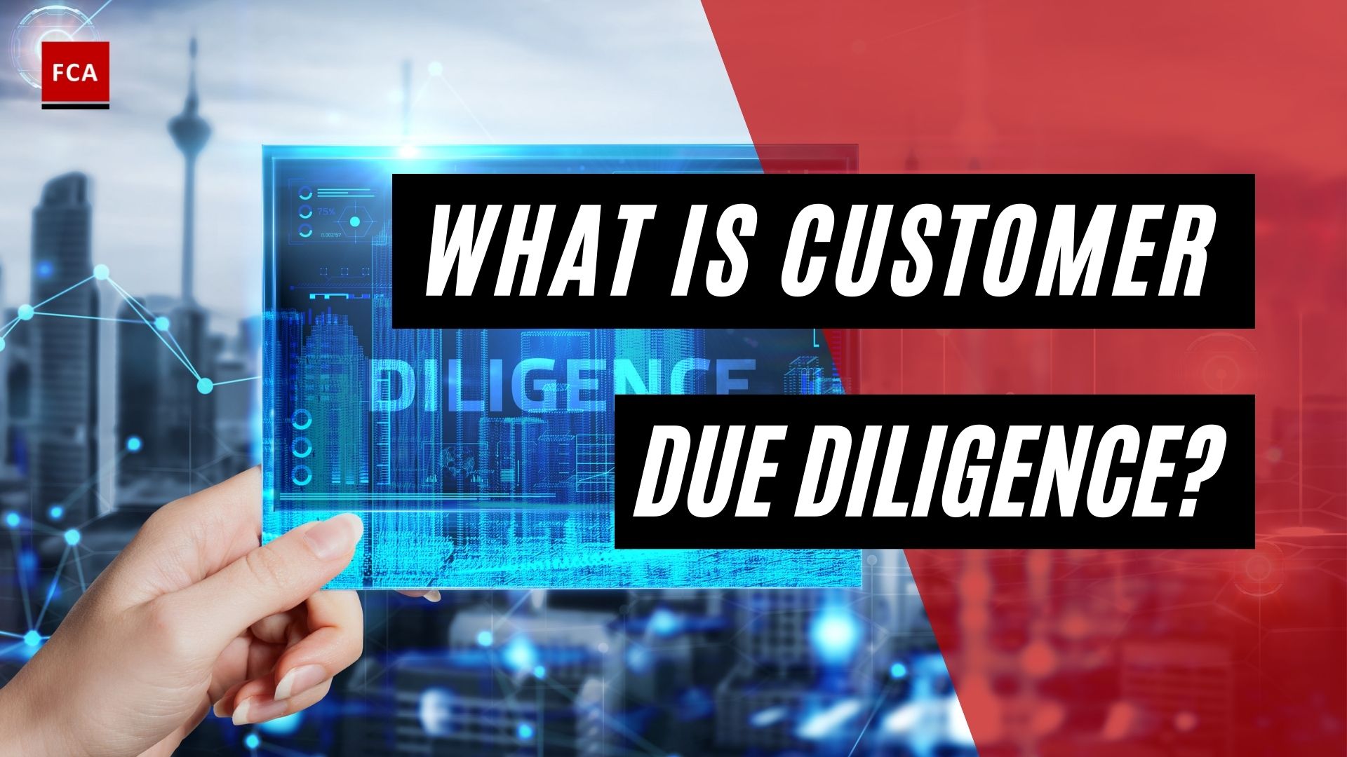 what is customer diligence feature image 1