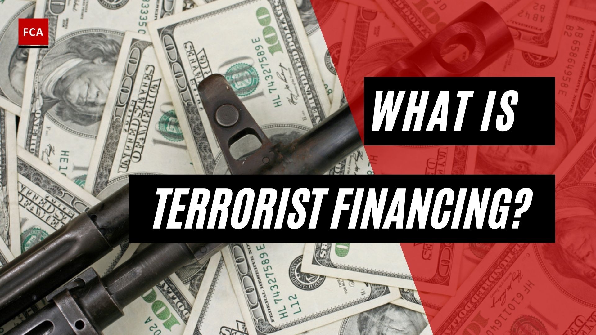 Terrorist Financing