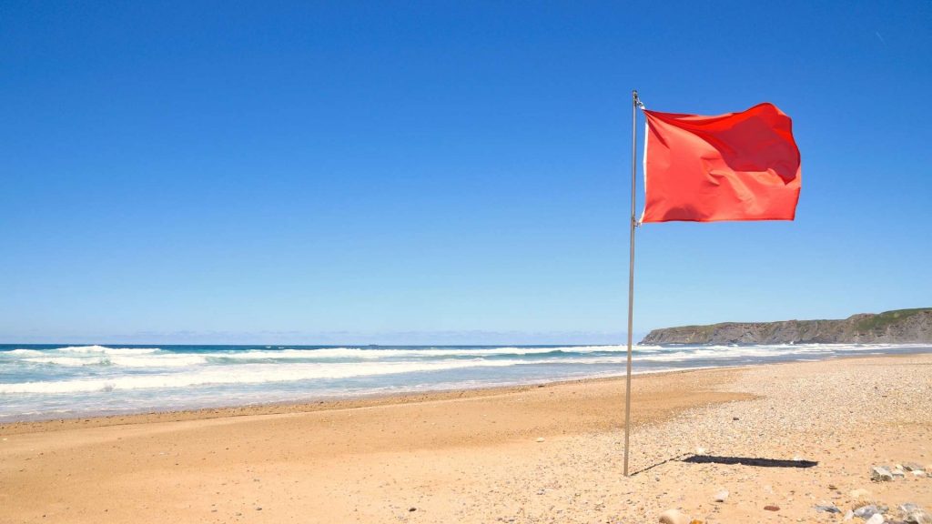 Politically Exposed Person Risk and Red Flags