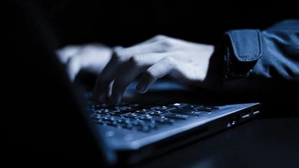 Understanding Fraudsters