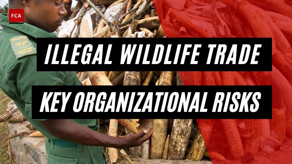 Illegal Wildlife Trade