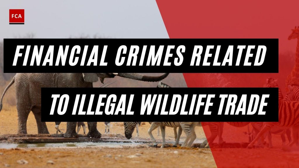 Financial Crimes