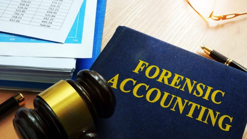 Historia de la contabilidad forense