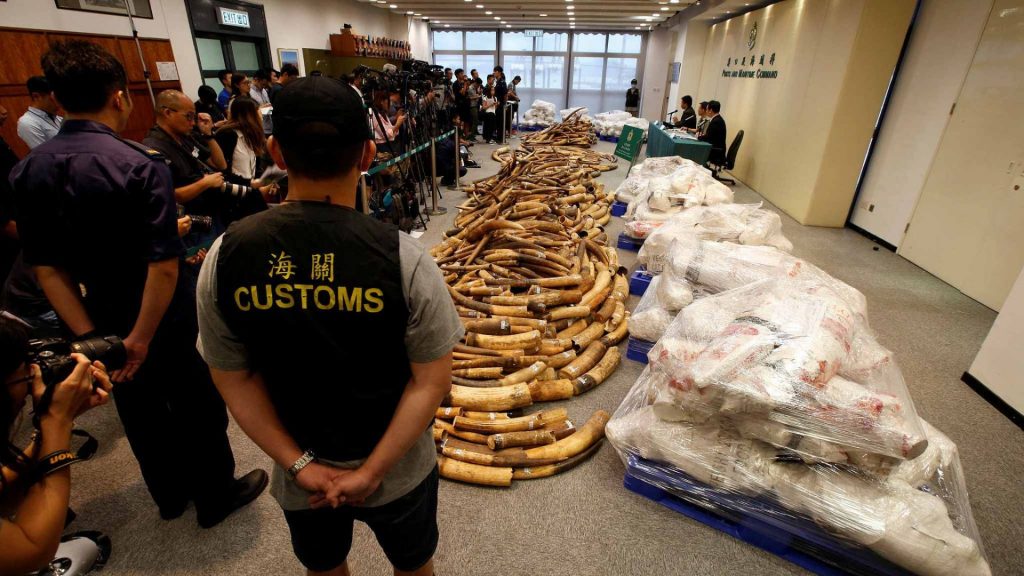 Illegal Wildlife Trade