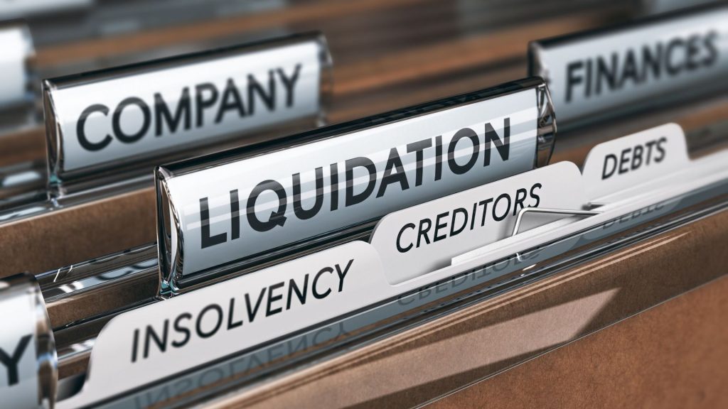 Bankruptcy Insolvency And Reorganization