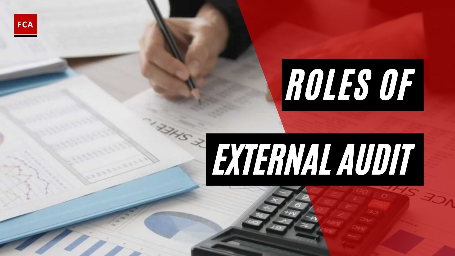 Roles Of External Audit