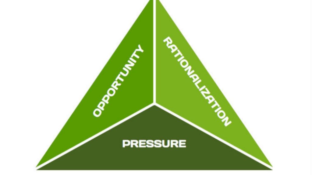 Profiling And Understanding Fraudsters