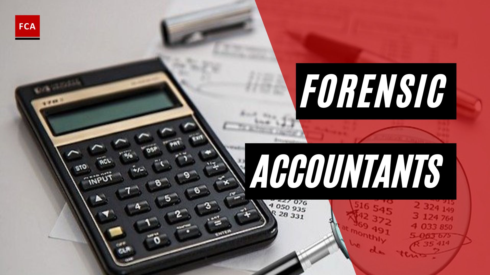 Forensic Accountants