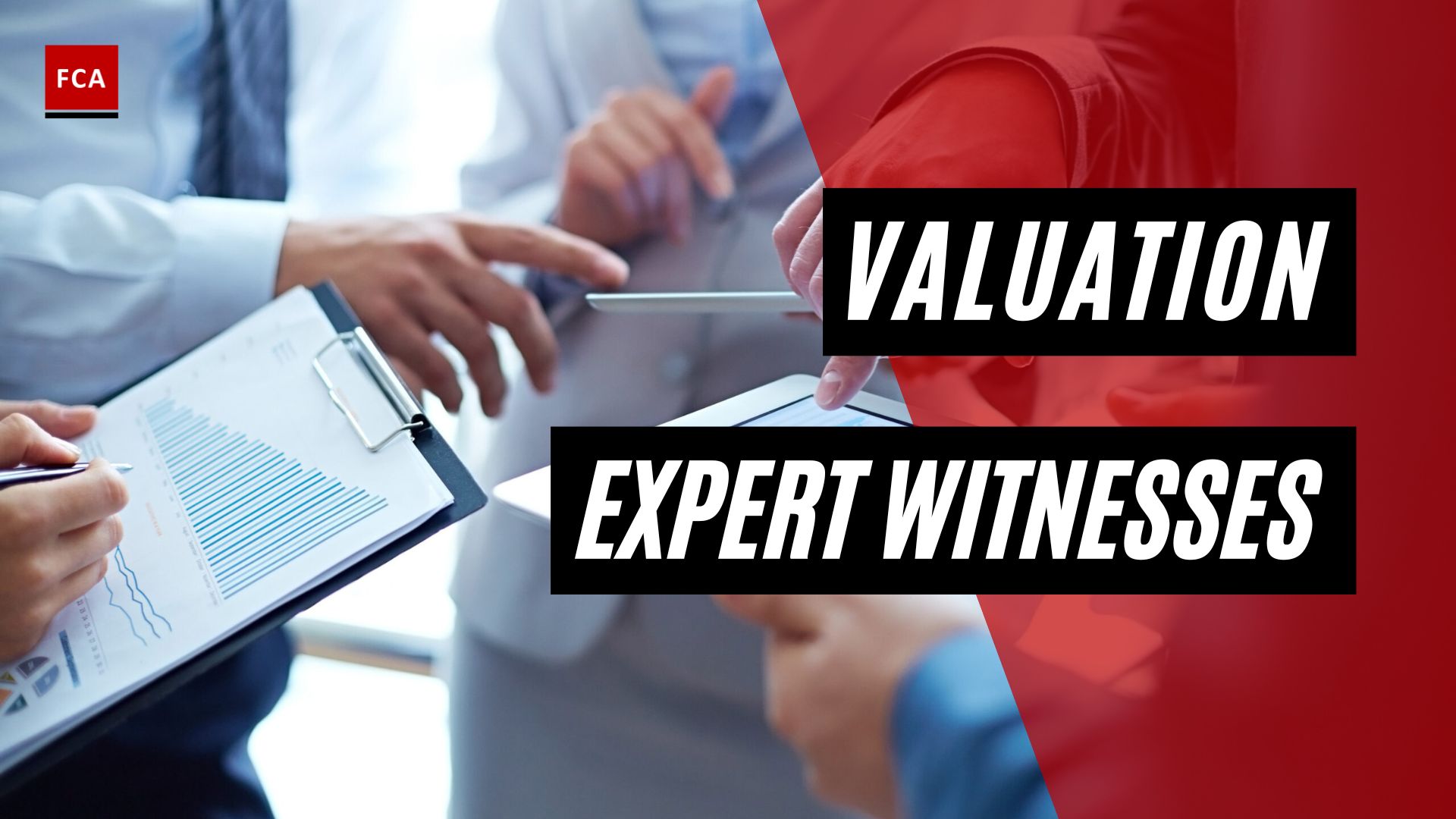 Valuation Expert Witnesses