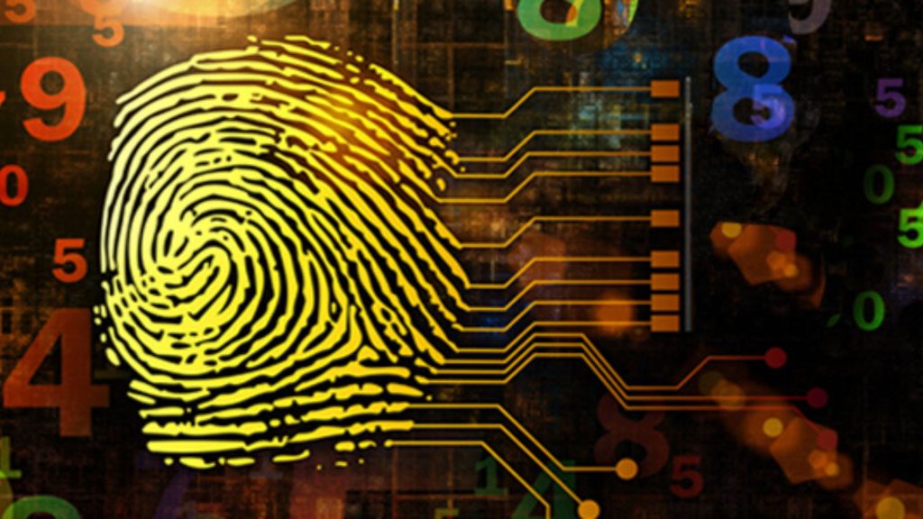 El vínculo de la contabilidad forense