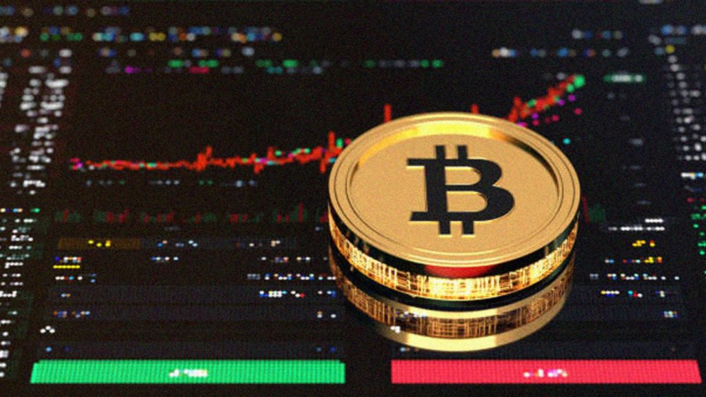 Understanding Crypto Assets