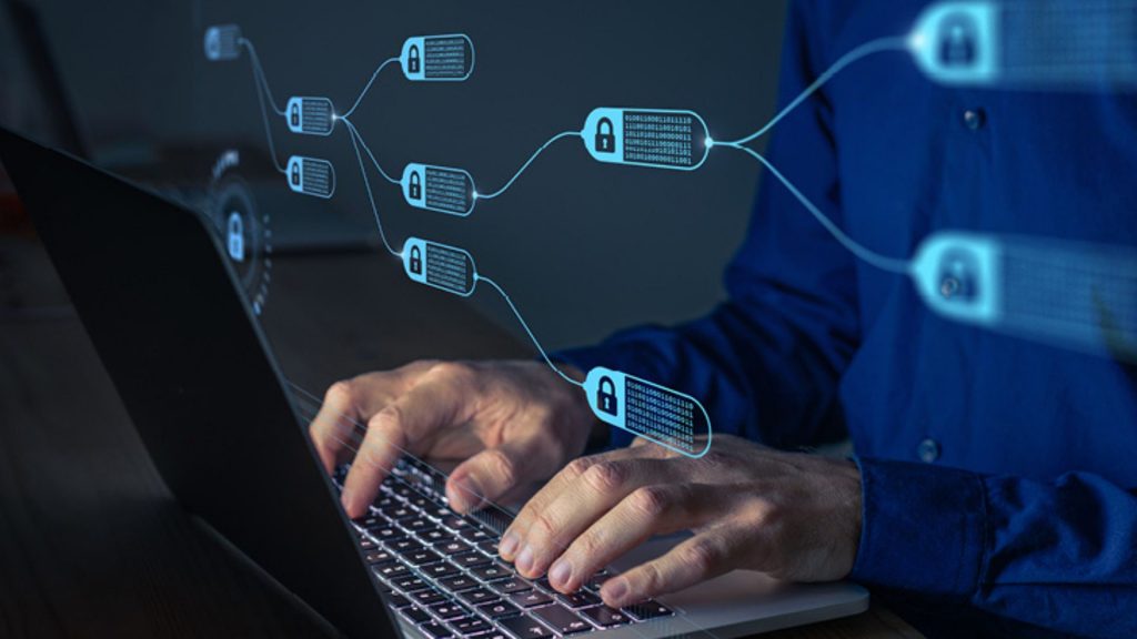 Actividad ilícita y soluciones de software