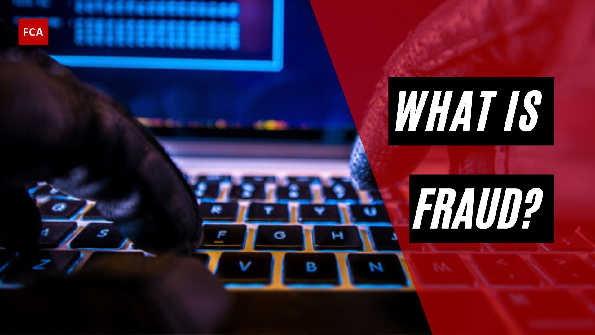 What is Fraud?