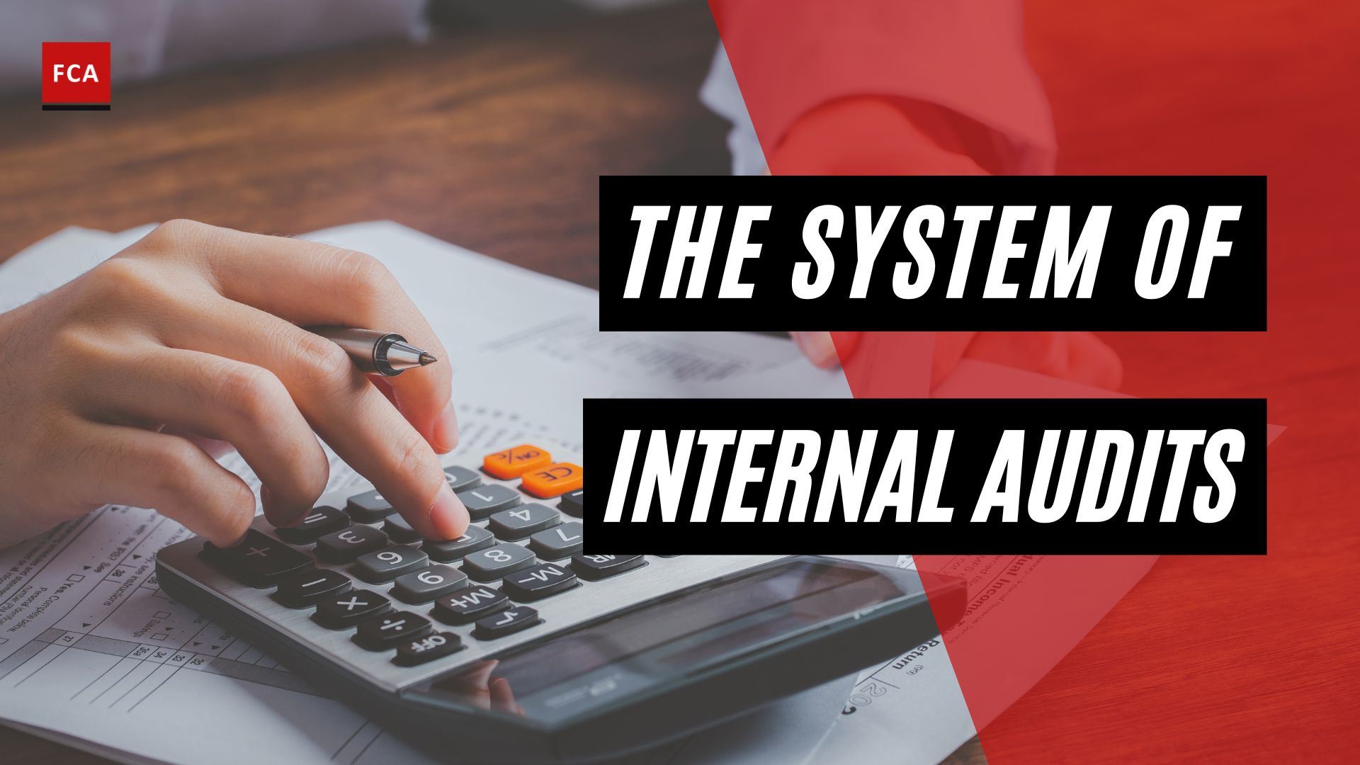 System of Internal Audits