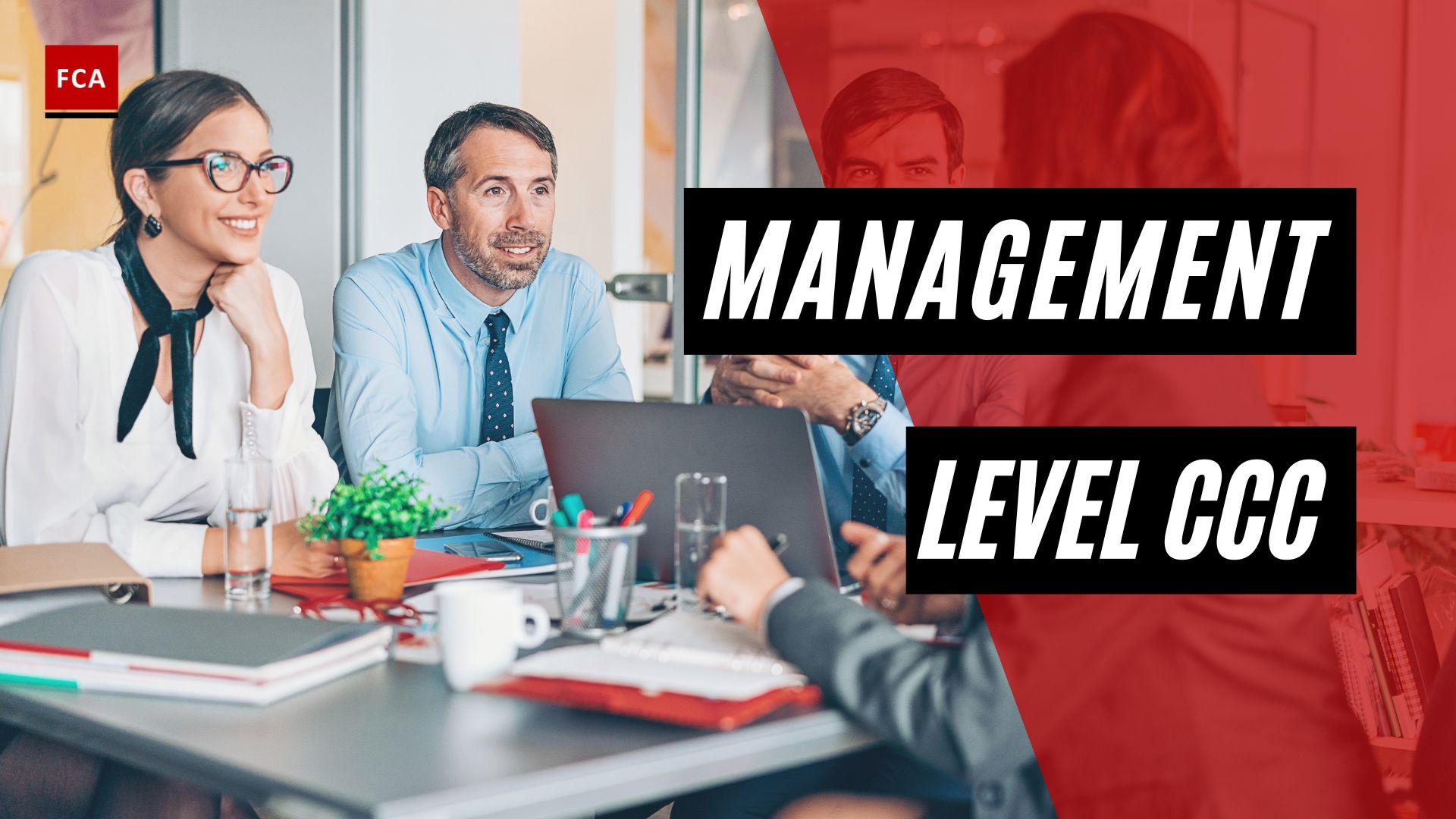 Management Level