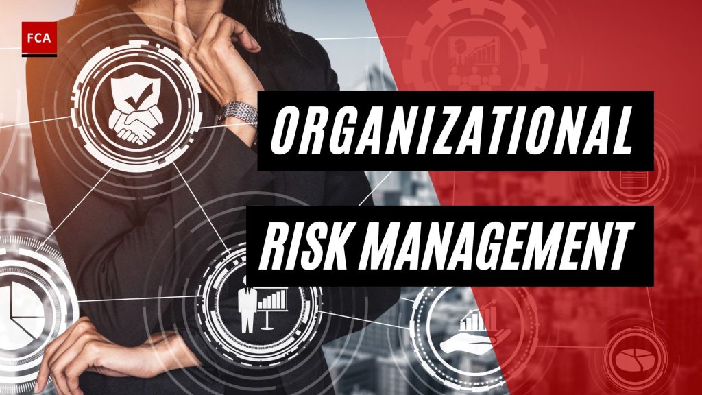 Organizational Risk Management