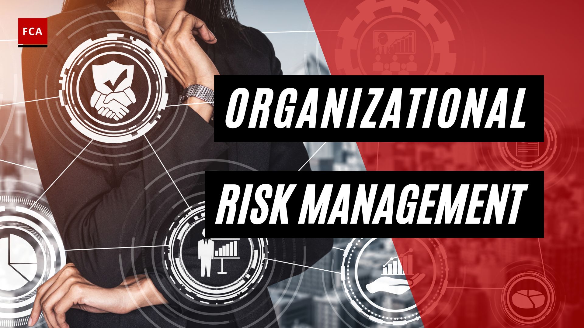 Organizational Risk Management
