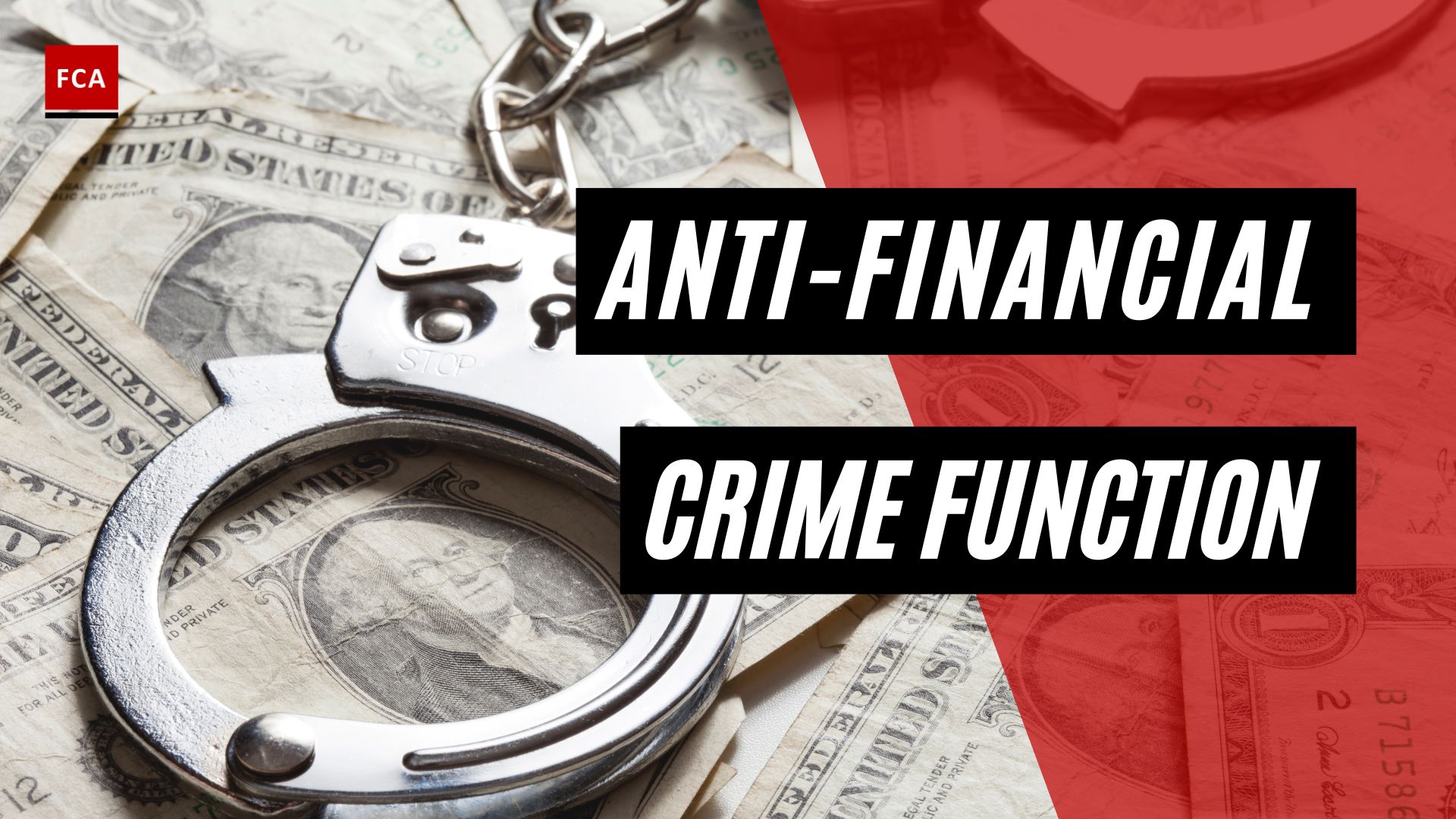 Anti-Financial Crime Function