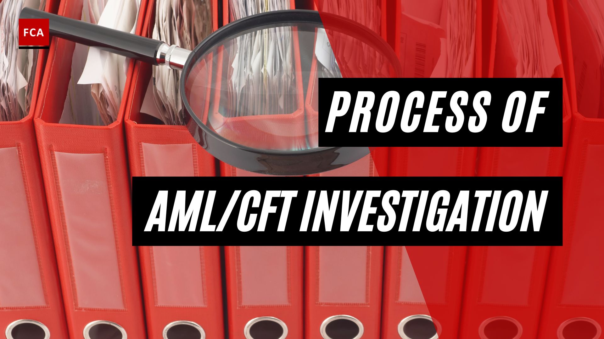 Process of AML/CFT Investigation