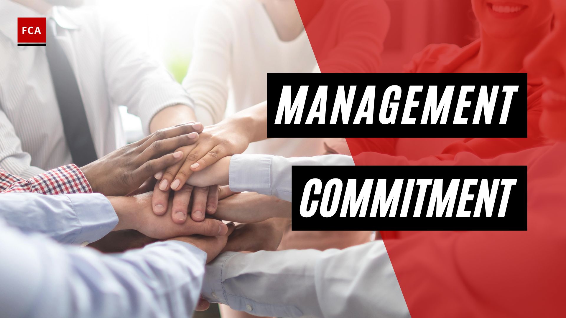 Management Commitment