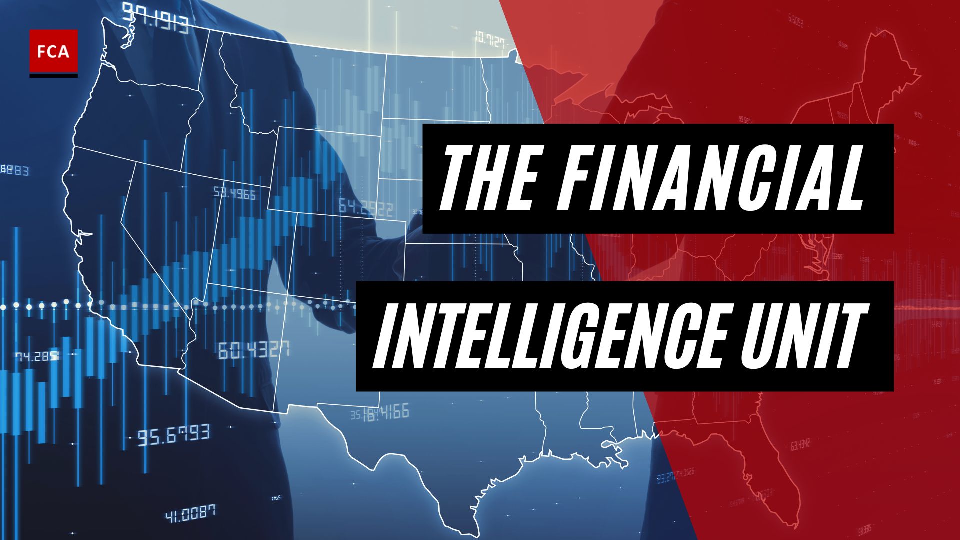 The Financial Intelligence Unit