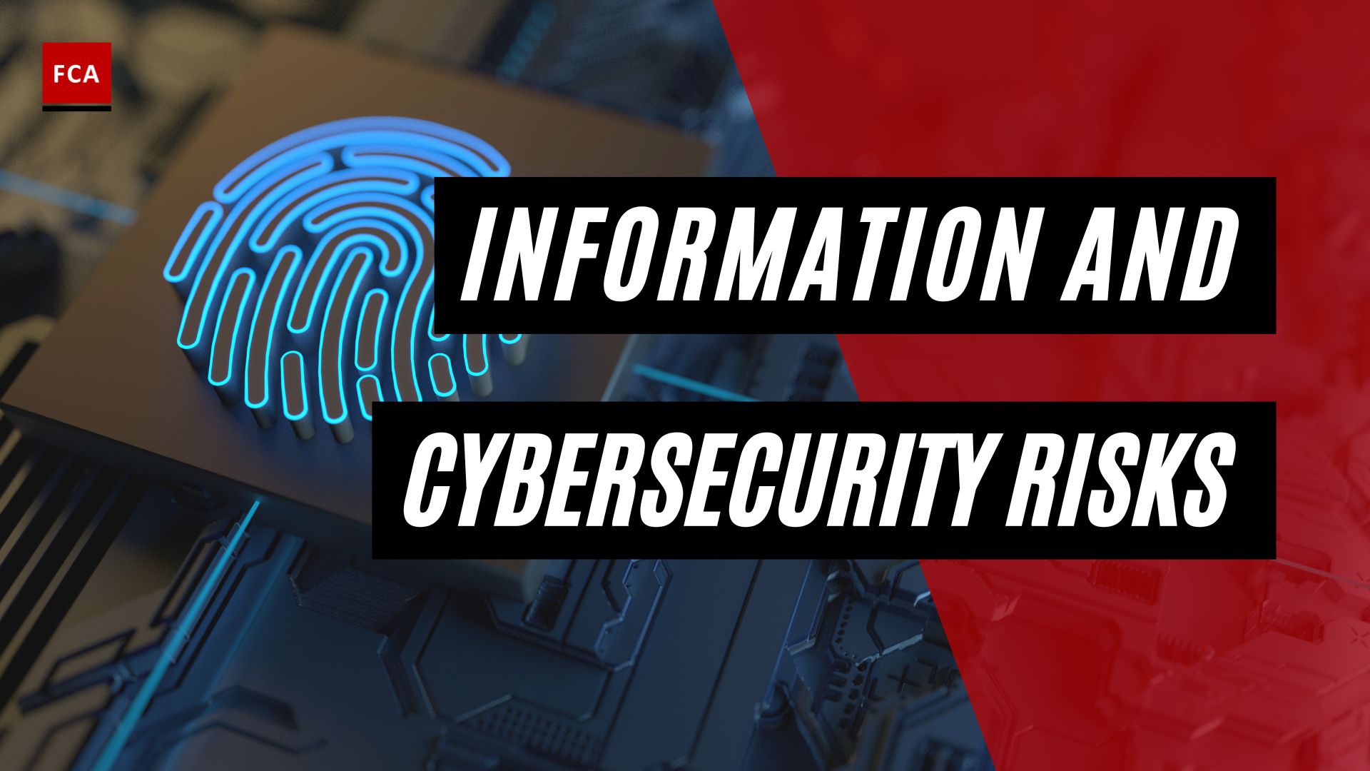 Information and Cybersecurity Risks