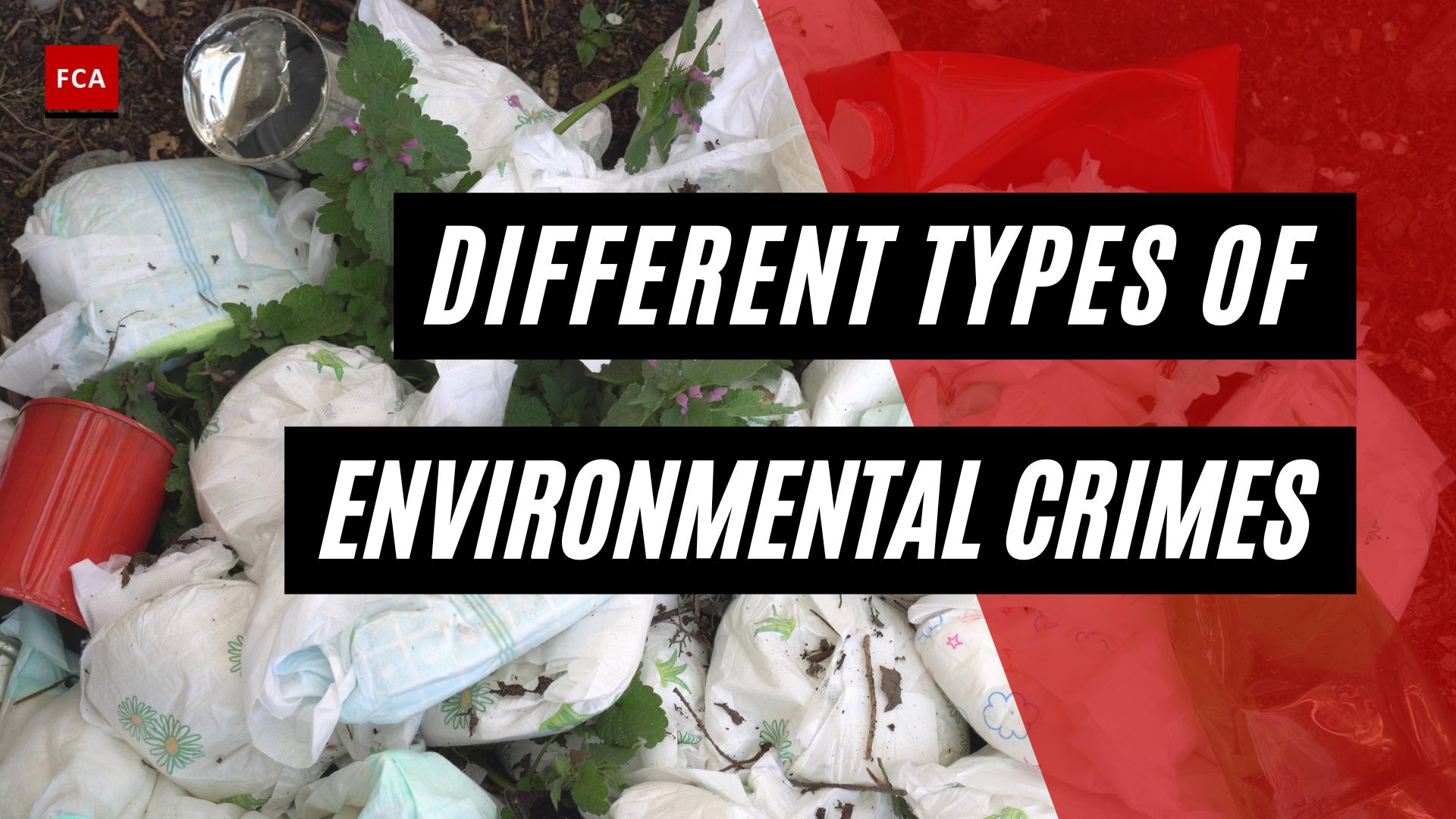 Types of Environmental Crimes