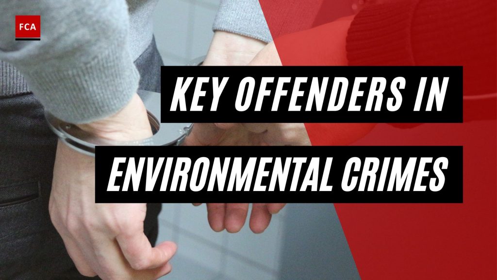 Key Offenders in Environmental Crimes