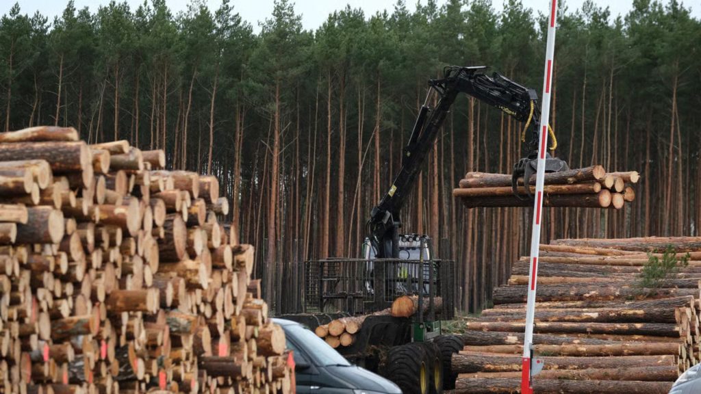Money Laundering in Environmental Crimes