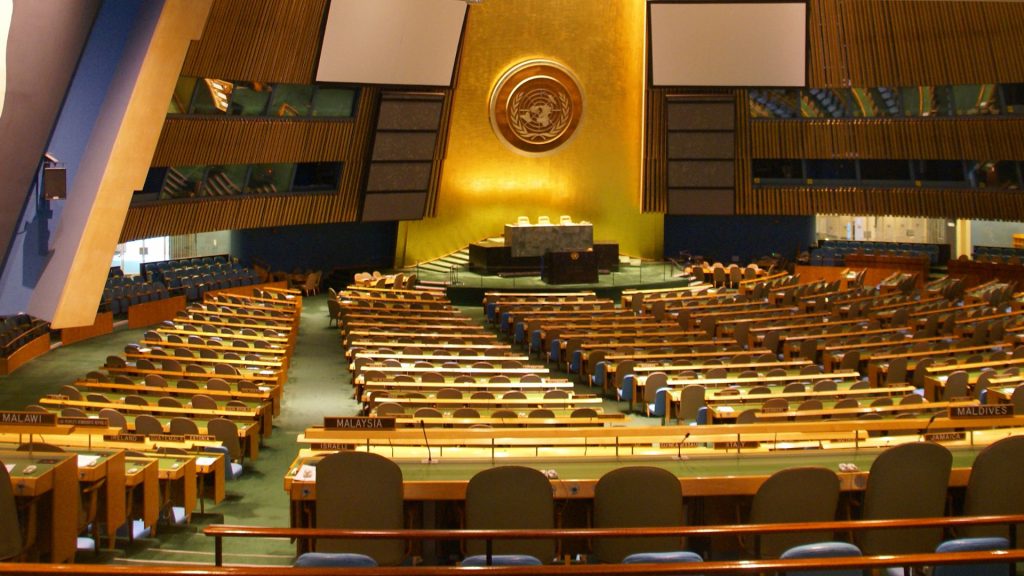 Organización de las Naciones Unidas