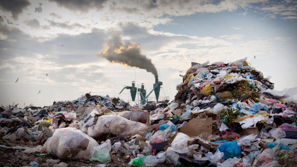 ¿Qué es un delito ambiental?