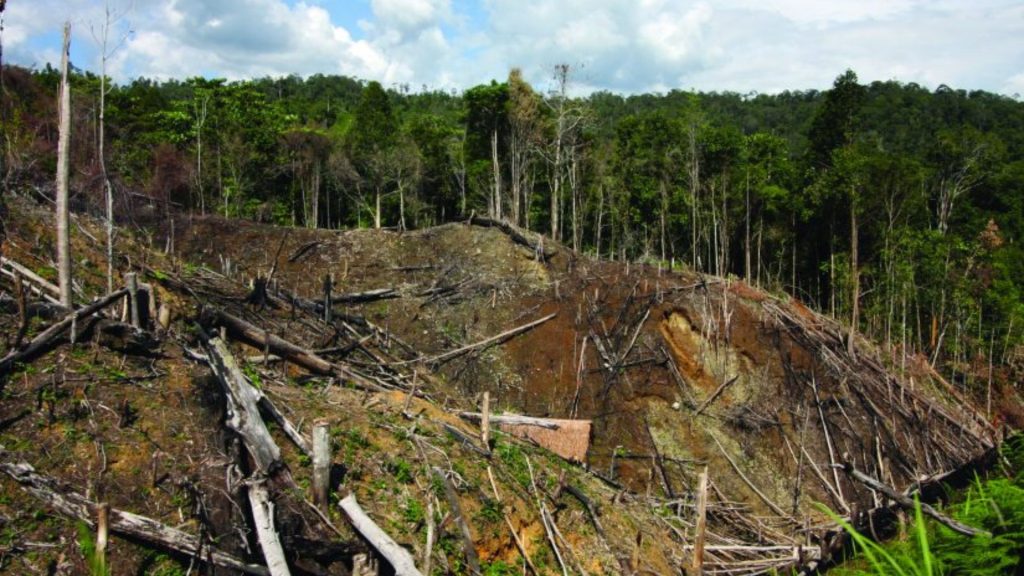 Principales impulsores de los delitos ambientales