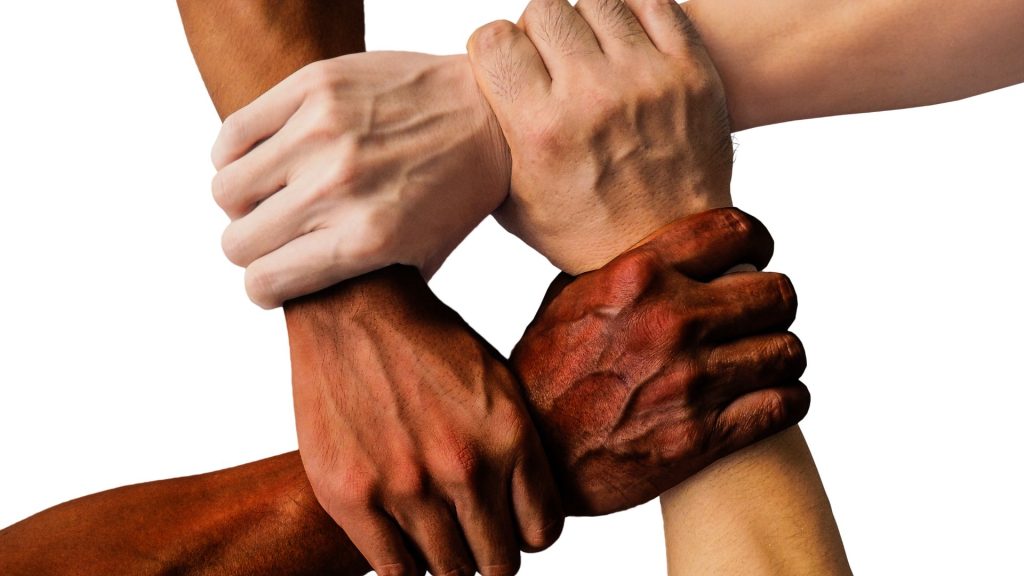 Organización de las Naciones Unidas