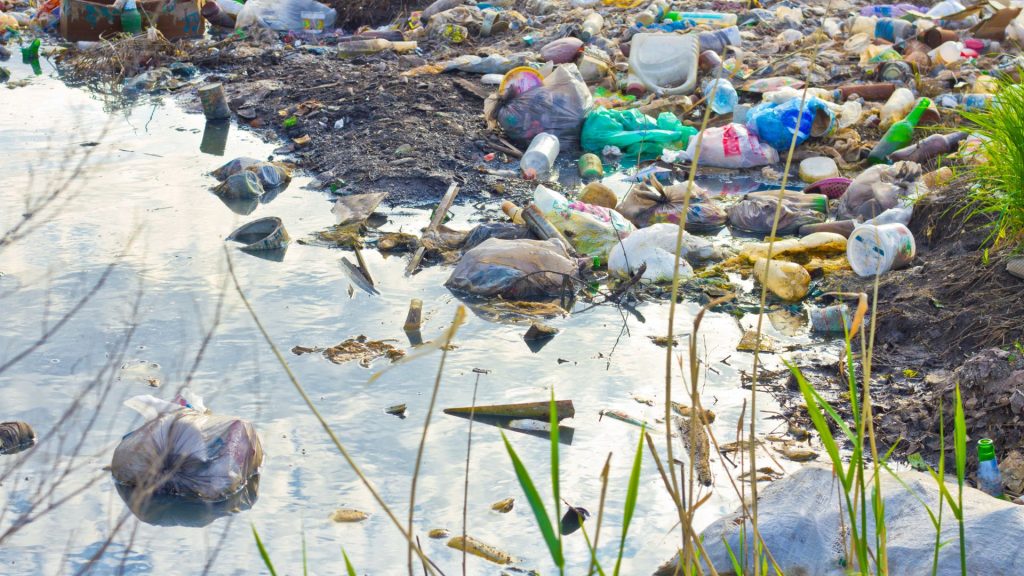 ¿Qué es un delito ambiental?