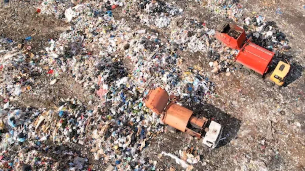 Principales impulsores de los delitos ambientales