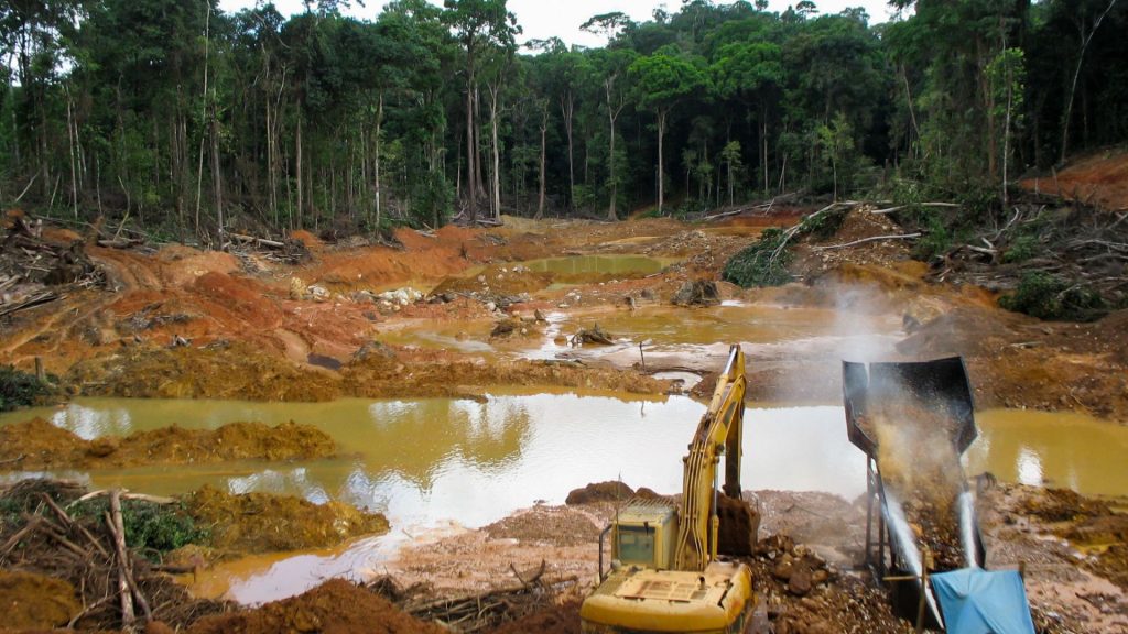 Lavado de dinero en delitos ambientales
