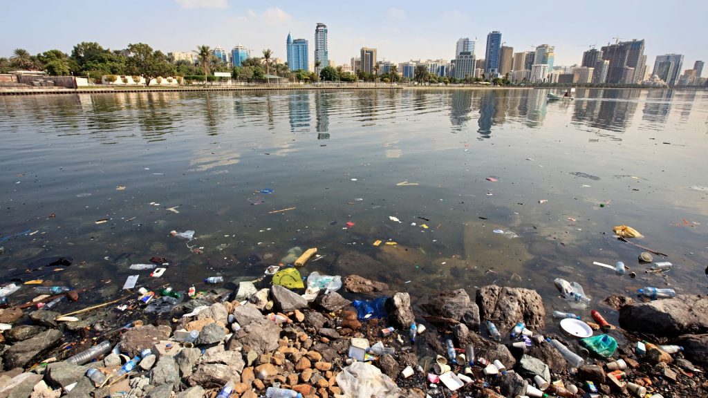 ¿Qué es un delito ambiental?