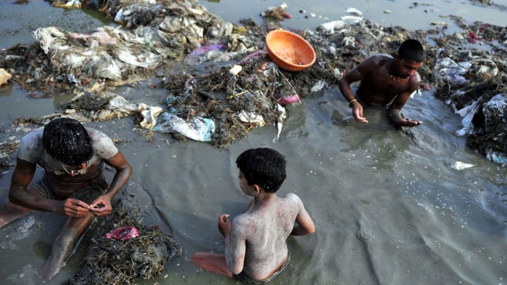 Money Laundering in Environmental Crimes