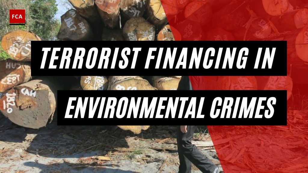 Terrorist Financing