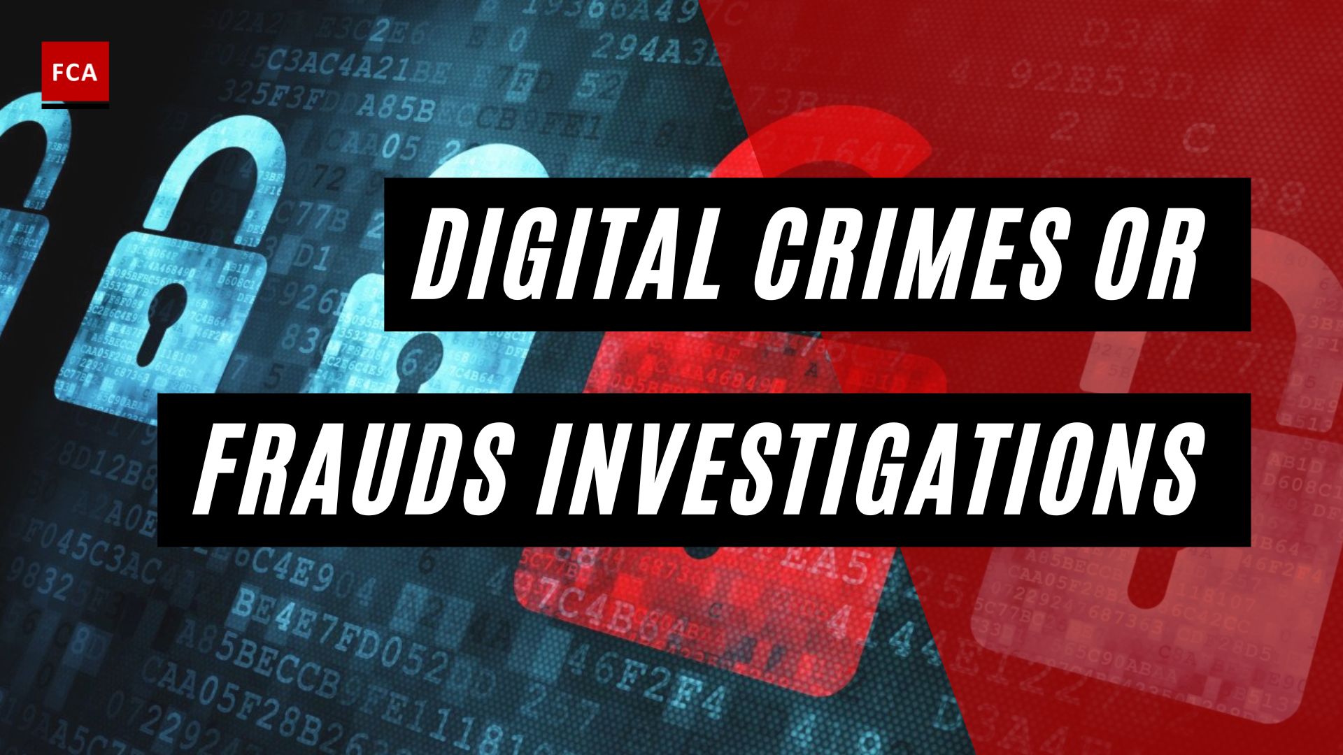 Digital Crimes or Frauds Investigations
