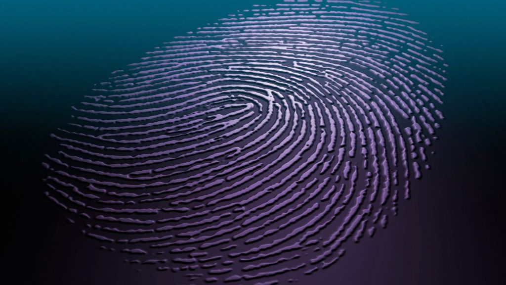Análisis forense digital e investigaciones