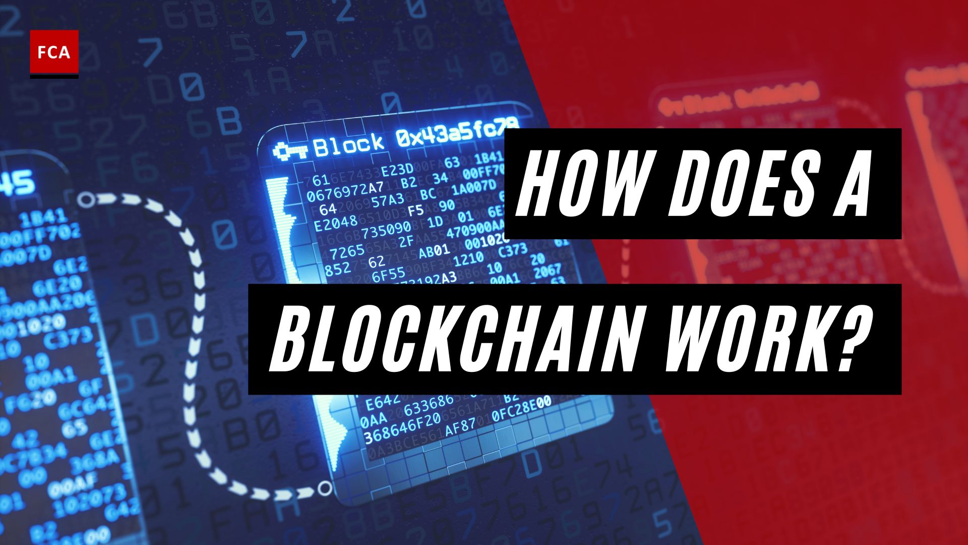 How does a Blockchain Work?