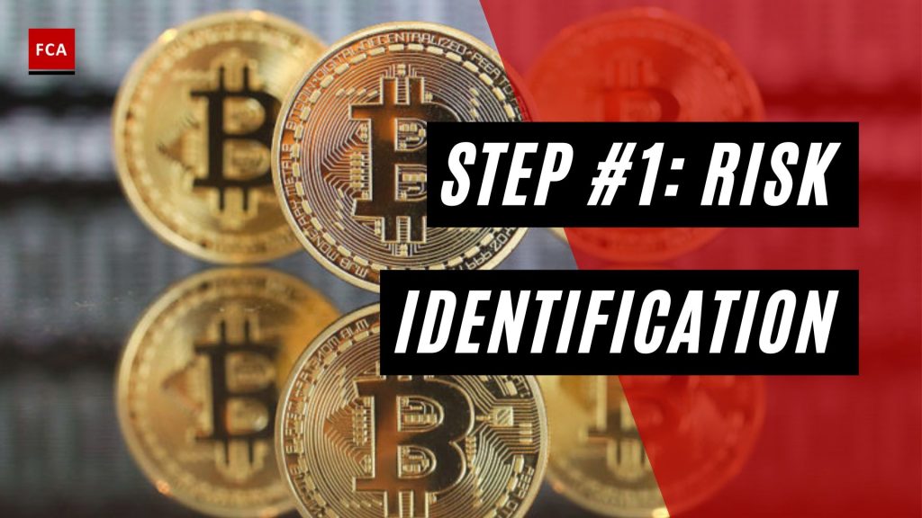 Risk Identification