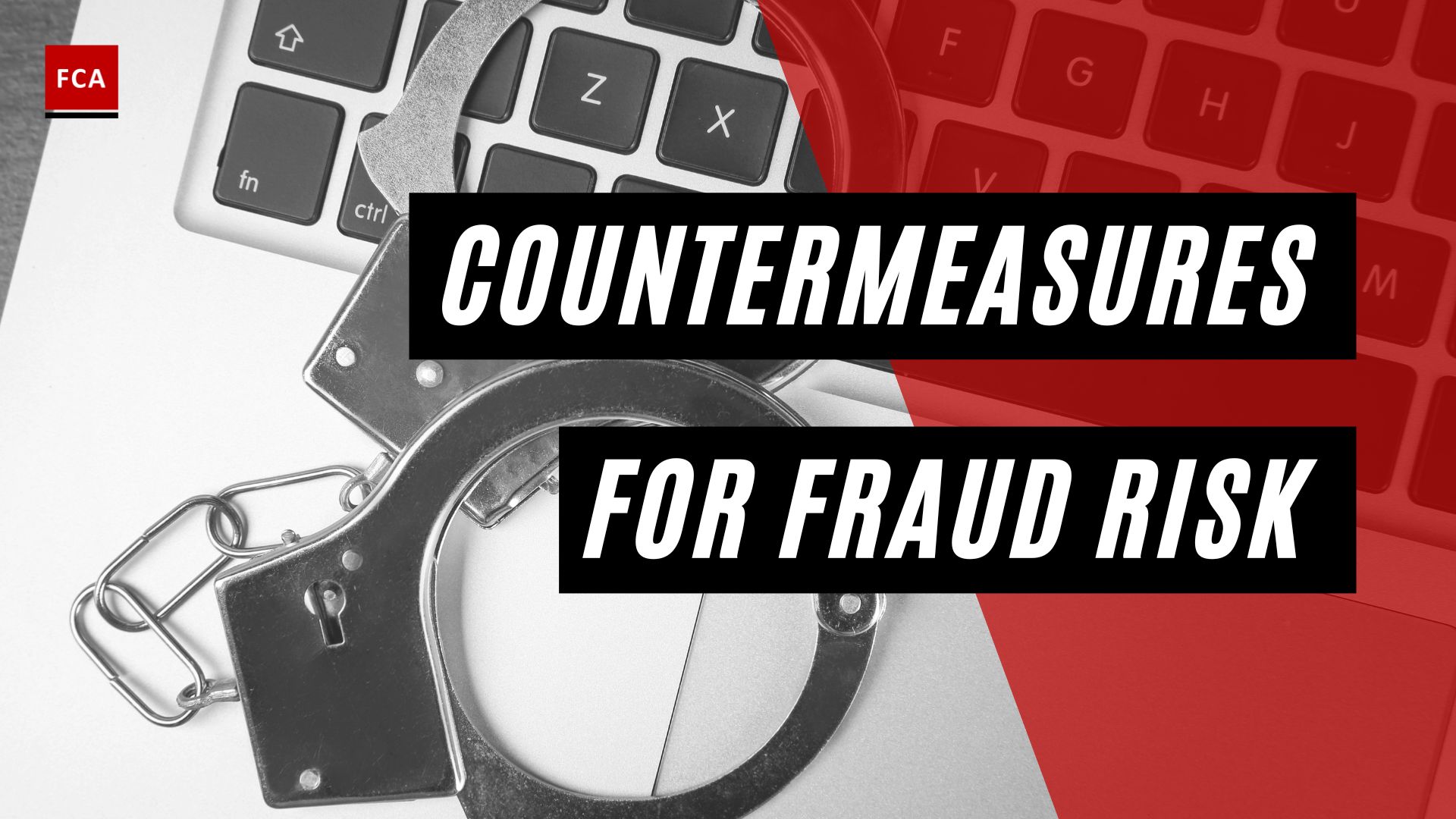 Countermeasures for Fraud Risk