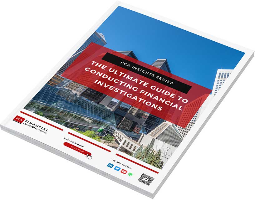 The Ultimate Guide to Conducting Financial Investigations Cover