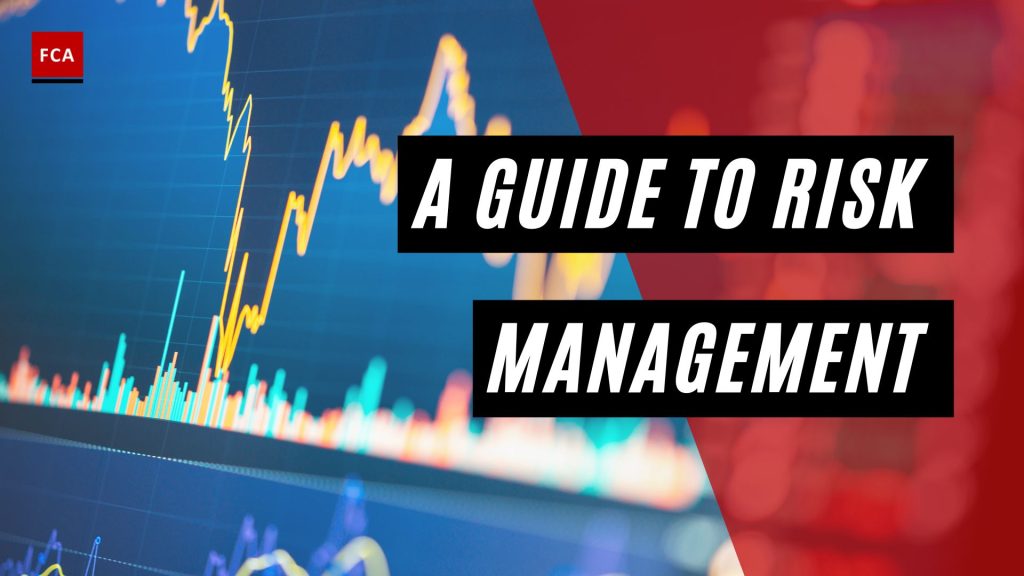 A Guide to Risk Management