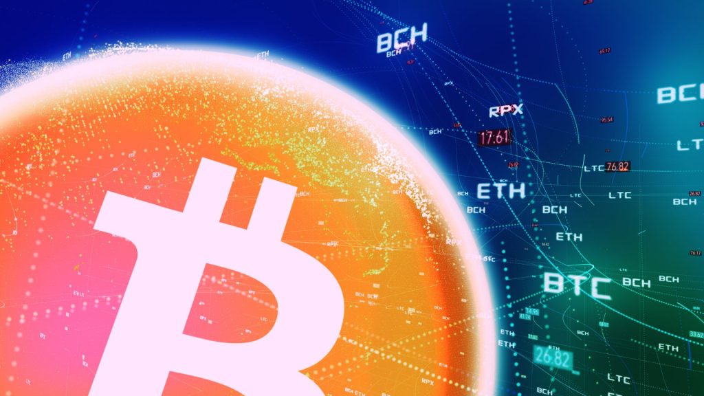 Cryptocurrency Specific Risks