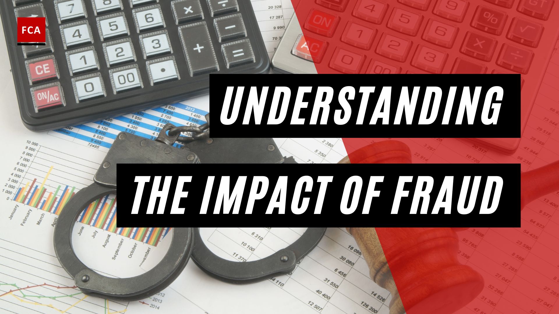 Understanding the Impact of Fraud