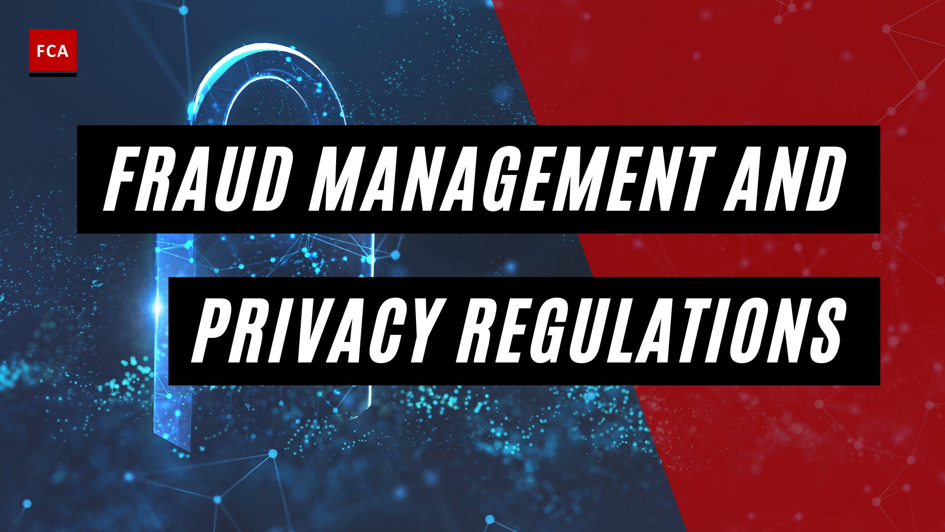 Fraud Management and Privacy Regulations
