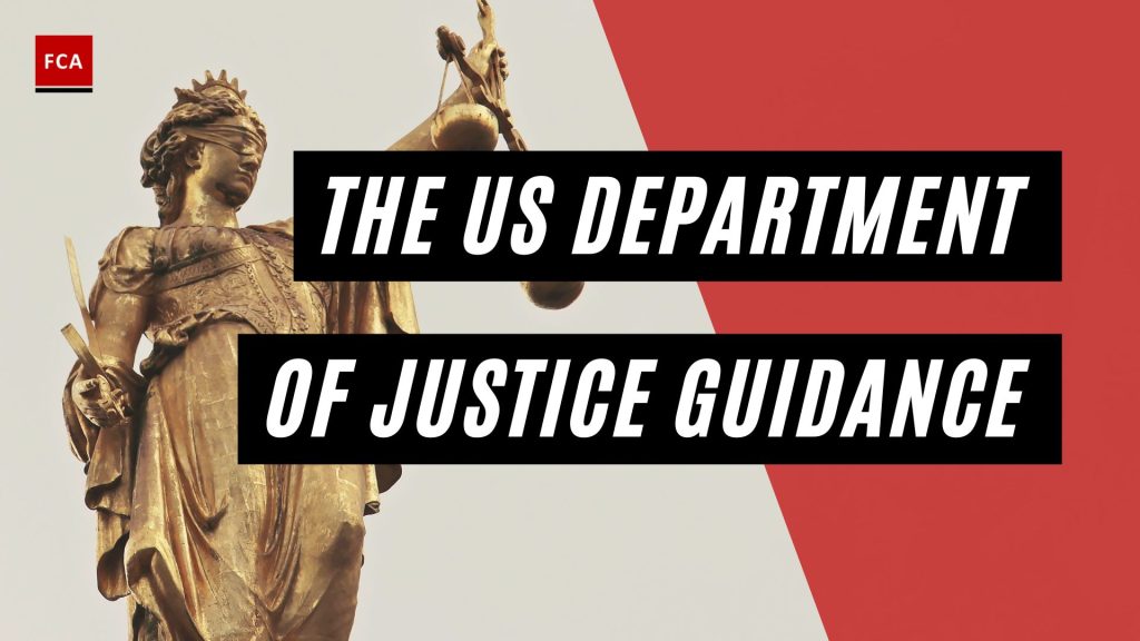 The US Department of Justice Guidance